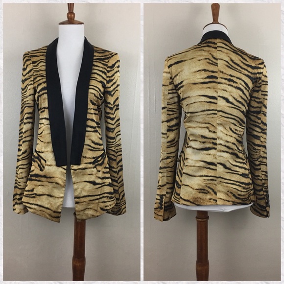 Zara Jackets & Blazers - Zara Tiger Stripe Long Sleeve Open Placket Blazer